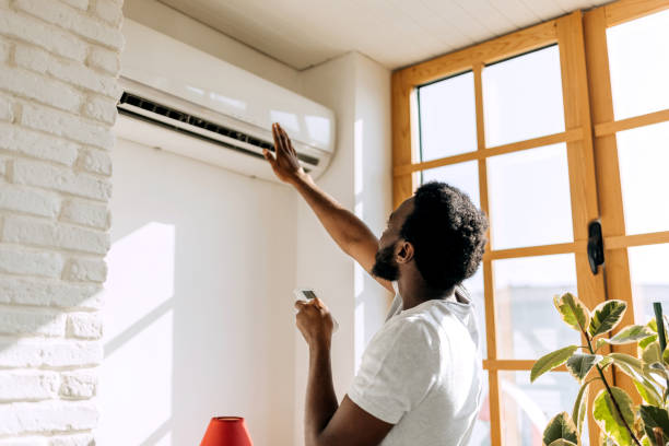 Best Air Conditioning Cleaning in Hanamaulu, HI